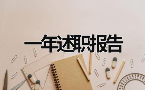 一年述職報告  (16篇）