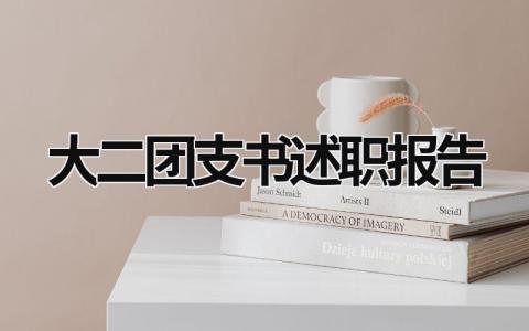大二團支書述職報告 大二團支書述職報告 (18篇）
