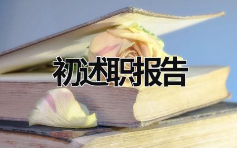 初述職報告 初級述職報告 (19篇）