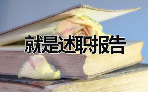 就是述職報告 述職報告是啥意思? (21篇）
