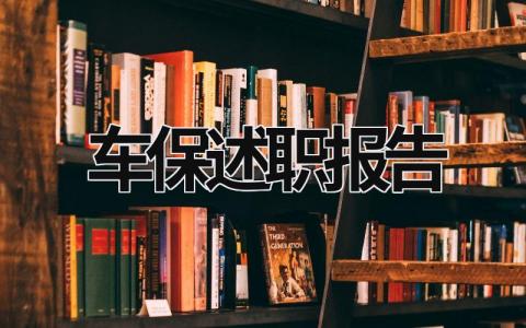 車保述職報告 保險公司車險述職報告 (17篇）