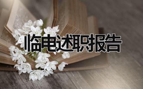 臨電述職報告 述職報告電氣 (18篇）
