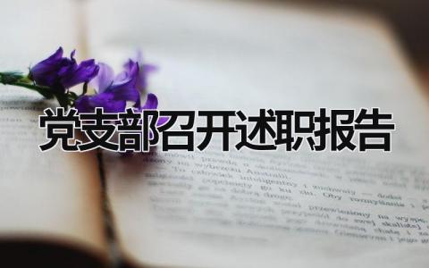 黨支部召開述職報告 黨支部召開述職報告 (16篇）