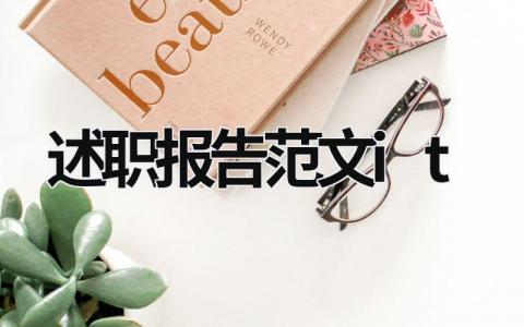 述職報告范文it 述職報告范文it (19篇）