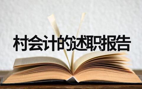 村會計的述職報告 村會計述職報告范文簡單 (15篇）
