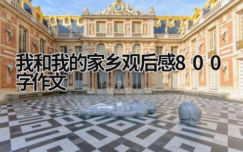 我和我的家鄉觀后感800字作文