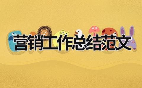 營銷工作總結范文