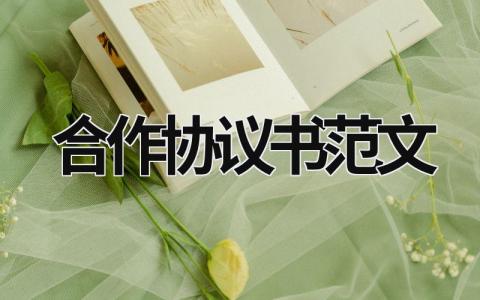 合作協議書范文