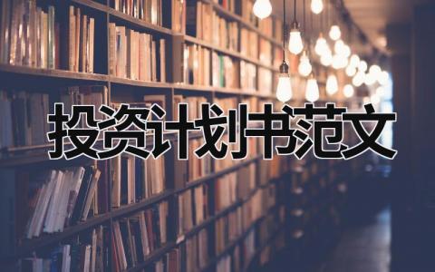 投資計(jì)劃書范文