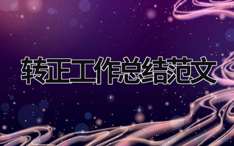 轉正工作總結范文