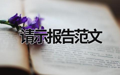 請示報告范文