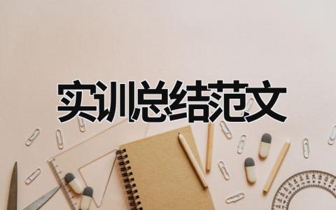 實(shí)訓(xùn)總結(jié)范文