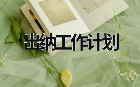 出納工作計(jì)劃