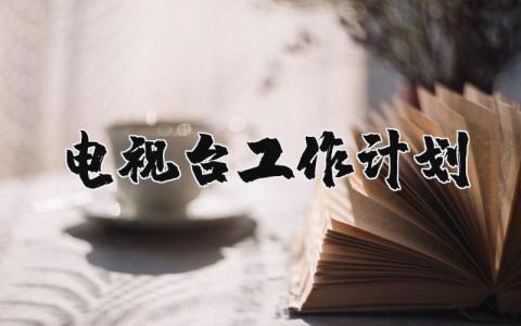 電視臺(tái)工作計(jì)劃 電視臺(tái)工作計(jì)劃范文 15篇