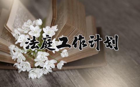 法庭工作計劃 法庭工作總結及計劃 15篇