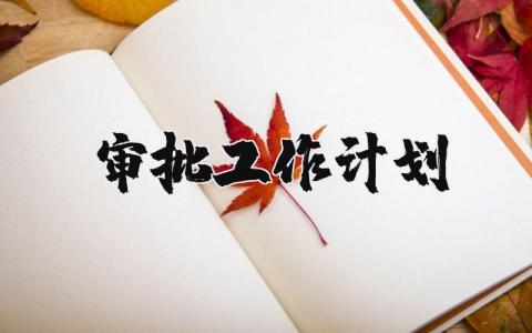 審批工作計(jì)劃 審批崗位年度工作總結(jié) 15篇