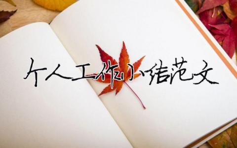 個人工作小結(jié)范文 個人工作總結(jié)范文2000字 19篇