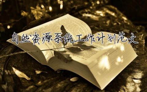 自然資源系統(tǒng)工作計(jì)劃范文 精選12篇