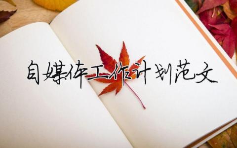 自媒體工作計(jì)劃范文 精選10篇