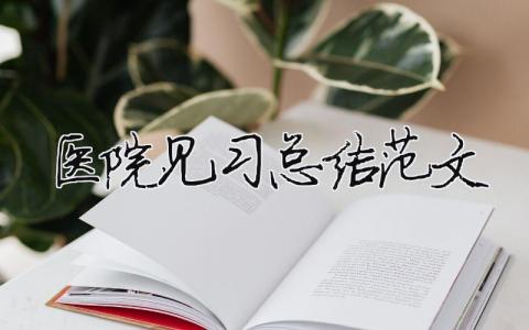 醫(yī)院見習總結(jié)范文（精選6篇）