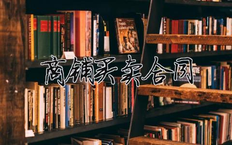 商鋪買賣合同（范文模板精品13篇）