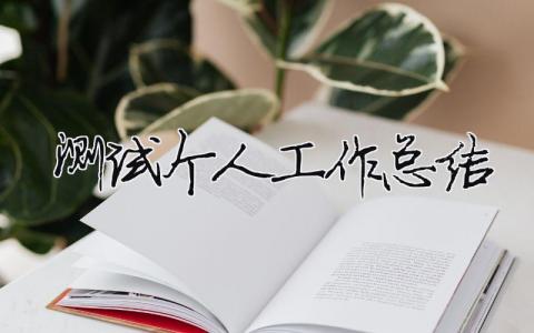 測試個人工作總結 測試個人工作總結報告（范文模板精品13篇）